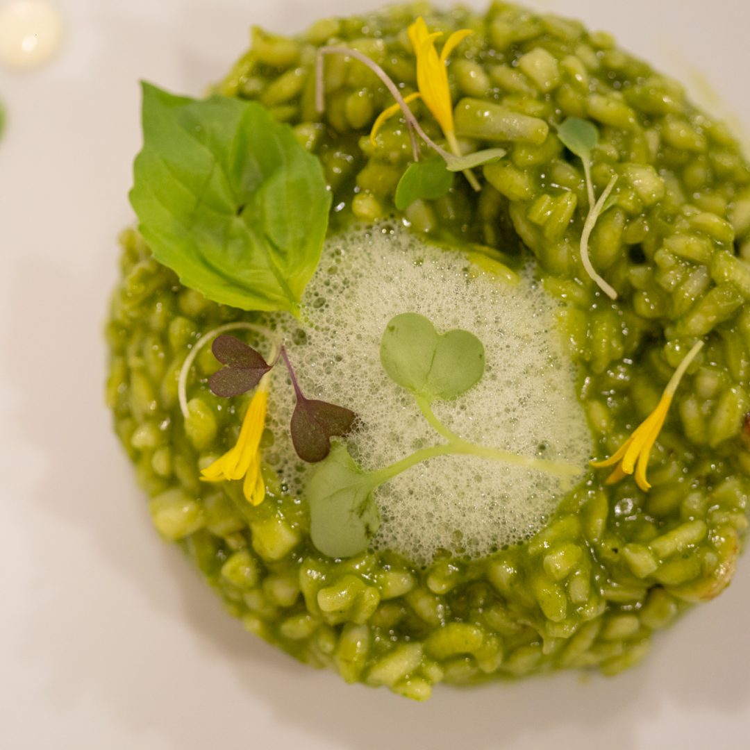 arroz-verde-de-espirulina-y-plancton