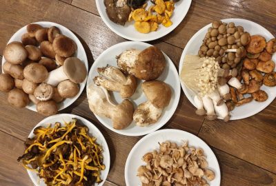 OTOÑO IS CALLING… “Sabores y recetas con setas para dar la bienvenida a la temporada”