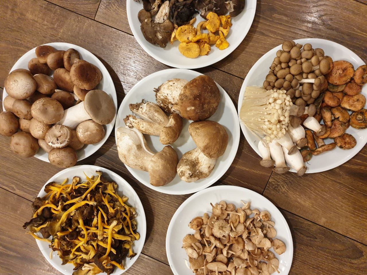 OTOÑO IS CALLING… “Sabores y recetas con setas para dar la bienvenida a la temporada”