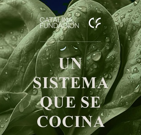 La Patente en el ámbito de la alimentación social, la formación gastronómica inclusiva y la reducción del desperdicio alimentario.